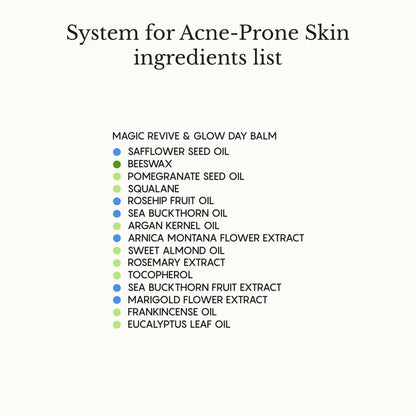 The Complete System for Acne-Prone Skin